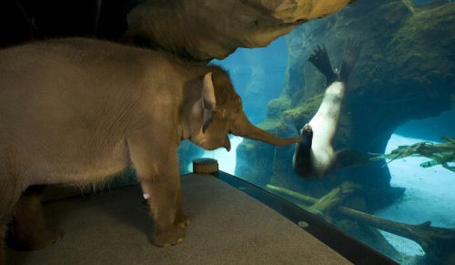 37 ciepłych zdjęć, które przypominają, że świat wciąż ma swoje dobre strony