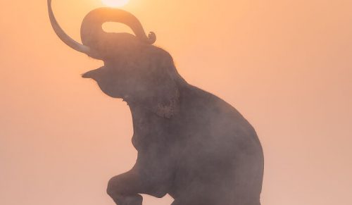 Ten fotograf uchwycił piękno Ziemi oto jego 49 najlepszych zdjęć