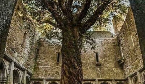 84 Zjawiskowe Zdjęcia Miejsc, Które Czas Zapomniał