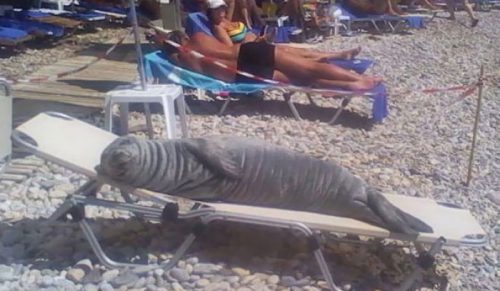 26 plażowych odkryć, których ludzie nie mogli zatrzymać dla siebie