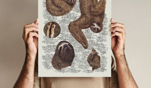 34 realistyczne ilustracje dzikiej przyrody, które wyglądają jak ze starodawnego przewodnika — prace tego artysty