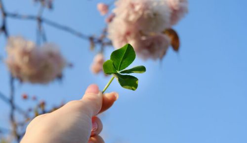 27 razy, gdy ludzie zetknęli się z czymś niewytłumaczalnym
