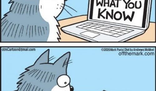 Zabawne życie z kotami uchwycone w 37 nowych komiksach Marka Parisi