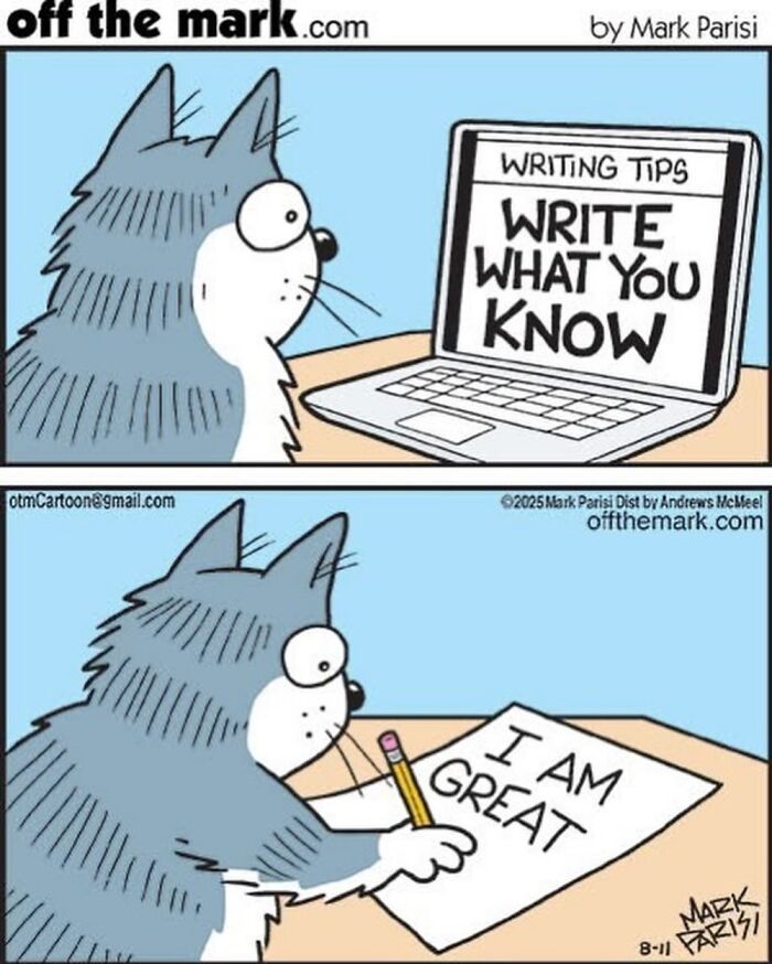 Zabawne życie z kotami uchwycone w 37 nowych komiksach Marka Parisi