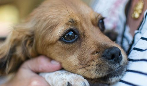30 niepokojących historii od prawdziwych ludzi