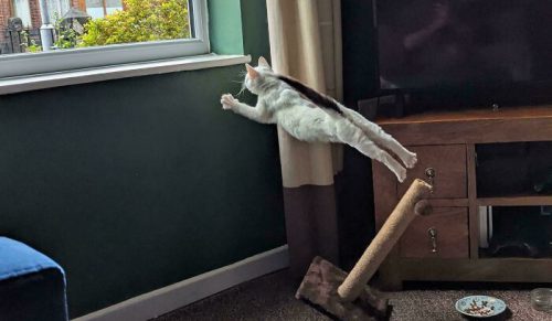 100 przypadkowych zdjęć, które wyglądają jakby należały do galerii sztuki