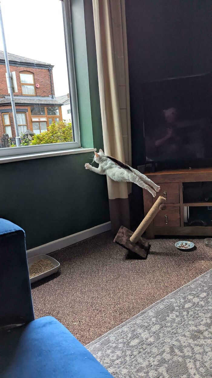 100 przypadkowych zdjęć, które wyglądają jakby należały do galerii sztuki