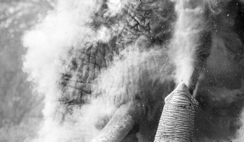 34 zwycięskie zdjęcia z konkursu Travel Photographer of the Year 2025