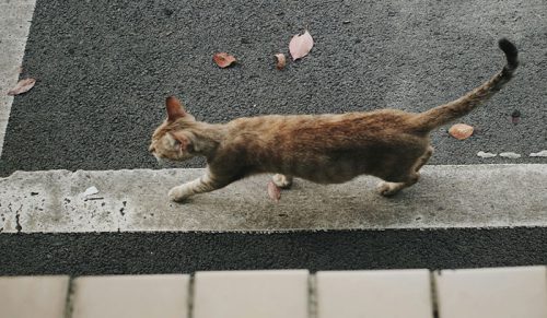 58 historii o sąsiadach z koszmaru
