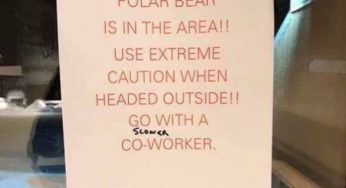 57 zdjęć lekkiego wandalizmu, które poprawią nastrój