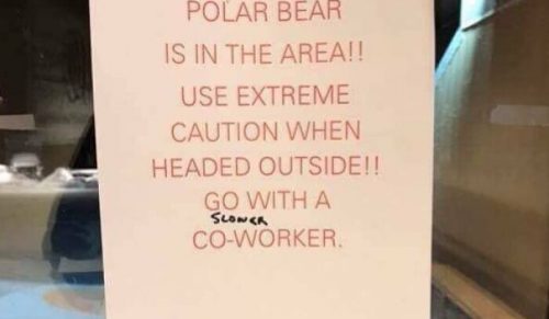 57 zdjęć lekkiego wandalizmu, które poprawią nastrój