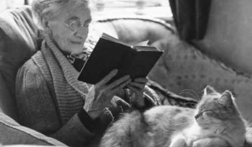 20 zabytkowych zdjęć kotów, które roztopią serce