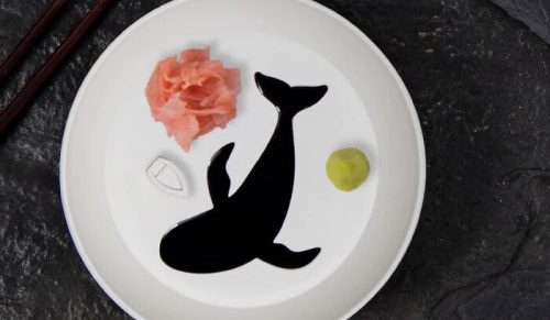 21 Niedorzecznych, lecz Zaskakująco Funkcjonalnych Projektów