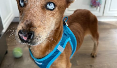 Po przejściach znalazł bezpieczeństwo, miłość i niespodziewane ponowne spotkanie