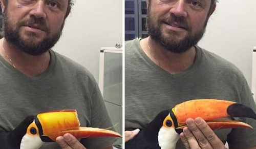 Od protez po domy: 26 genialnych przedmiotów wydrukowanych w 3D