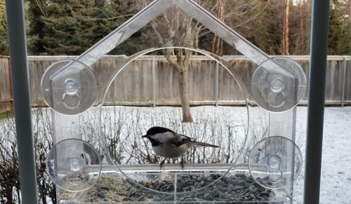 17 zakupów pod wpływem chwili, które stały się codziennymi niezbędnikami