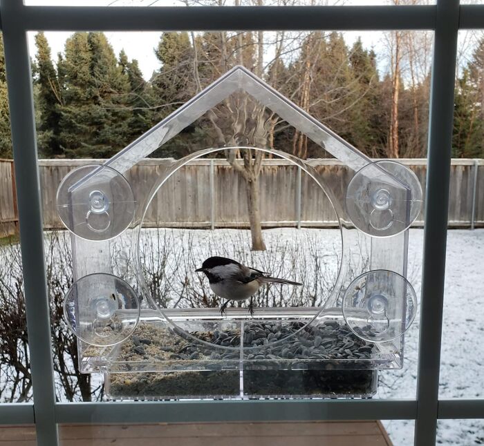 17 zakupów pod wpływem chwili, które stały się codziennymi niezbędnikami