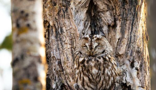 30 zdjęć przyrody, które pokazują, jak niezwykła jest natura