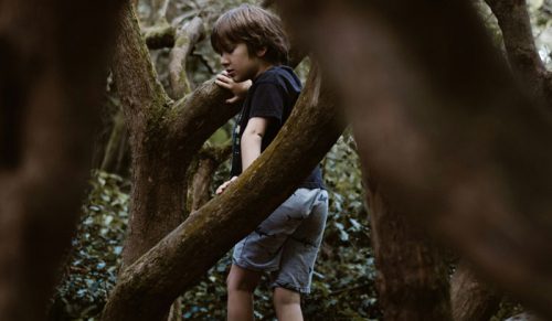 30 osób, które zachowały się głupio i błyskawicznie poniosły konsekwencje