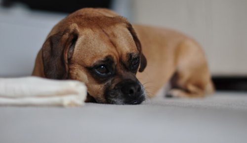 27 irytujących zachowań i sygnałów alarmowych podczas pierwszych randek