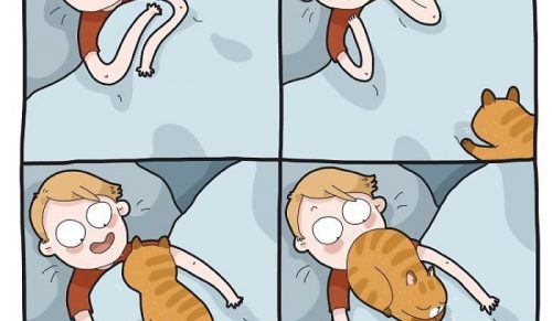 Ilustruję zabawne chwile z życia każdego właściciela kota