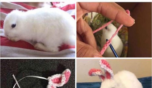 37 pogodnych memów i wpisów, które przypominają, że świat nie jest taki zły