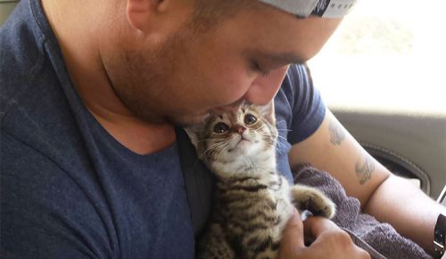 40 uroczych zwierzaków patrzących na swoich opiekunów, które rozczulają serca