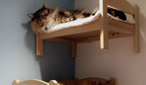 IKEA sprzedaje mini łóżeczka dla zabawek — ludzie wykorzystują je dla swoich kotów (30 zdjęć)