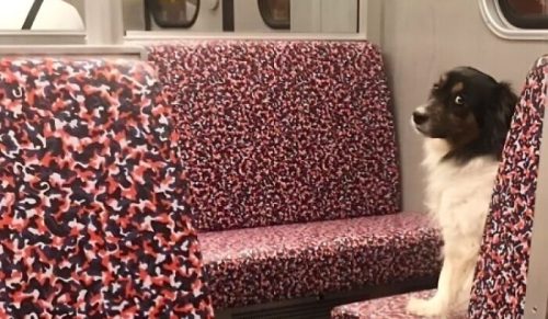 26 sytuacji, które trzeba zobaczyć dwa razy, żeby zrozumieć, co się dzieje