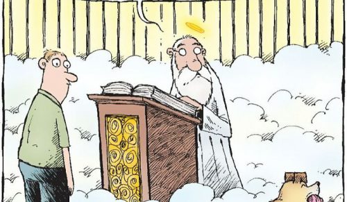 41 sprytnych komiksów „Speed Bump”, które kpią z ludzi i codzienności