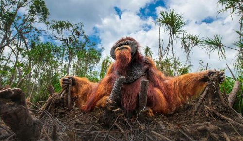 112 Oszałamiających Zdjęć z Konkursu Nature Photography 2025, Które Warto Zobaczyć