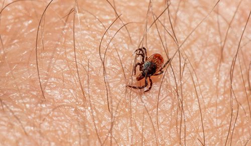 60 dziwnych faktów naukowych, które brzmią jak zmyślone, a są prawdziwe