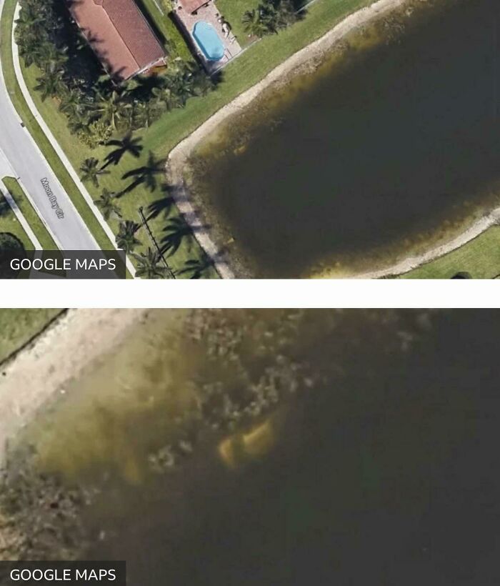 Ludzie dzielą się 27 dziwnymi znaleziskami odkrytymi w Google Maps