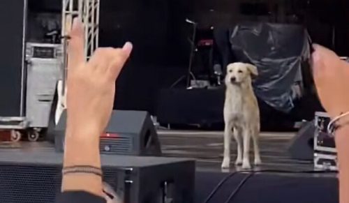 36 Denerwujących Osób, Które Myślą, Że Świat Kręci Się Tylko Wokół Nich