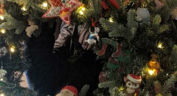 44 razy, kiedy rodzice udowodnili, że nigdy nie przestaną traktować dorosłych dzieci jak maluchy