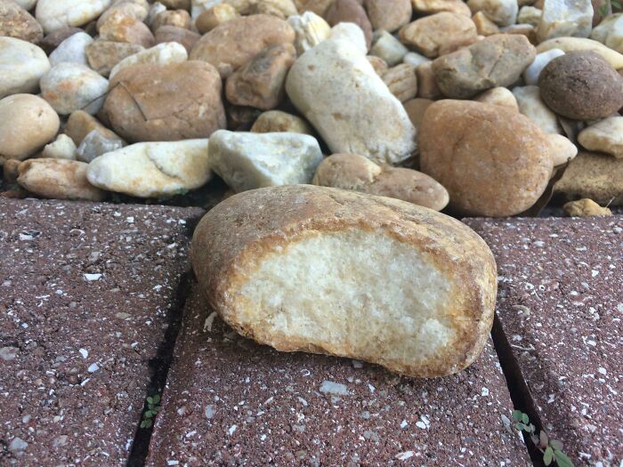 A rock that looks like a giant cookie or a piece of bread, one of the forbidden foods.