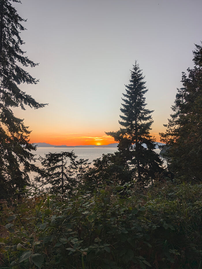 Sunset over ocean with trees symbolizing hope in leukemia match walk of 356 miles