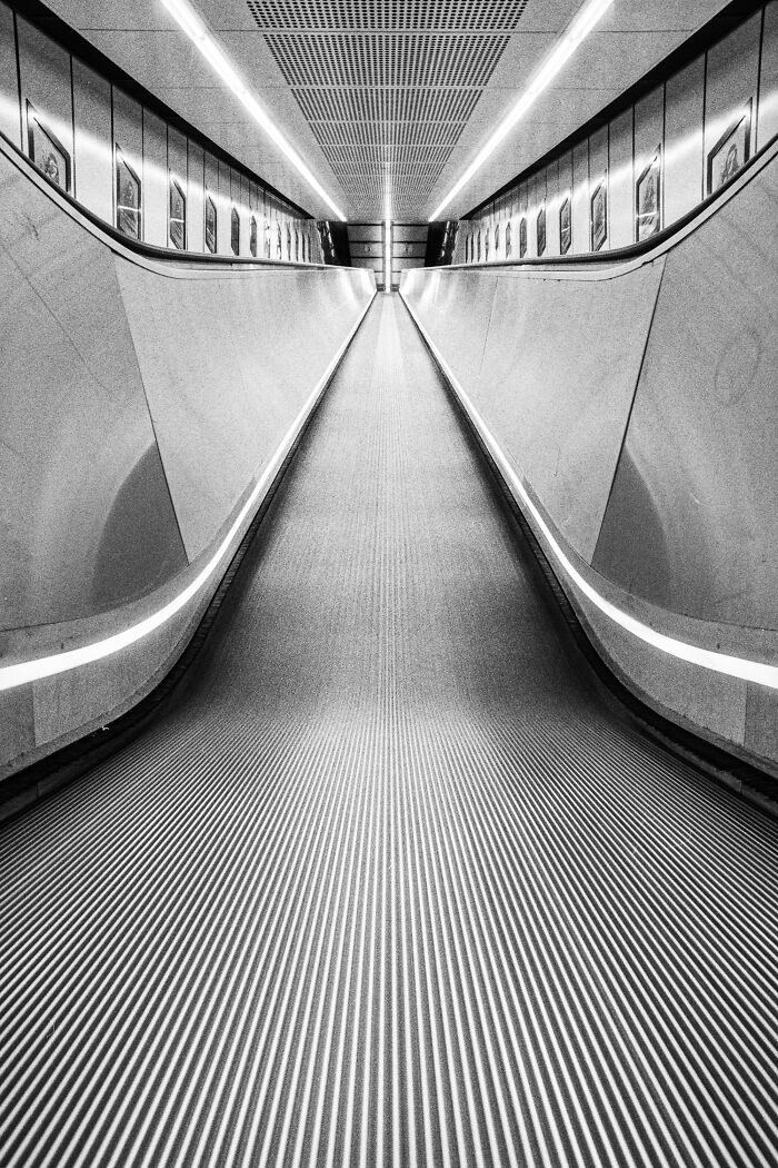 "Steps In Grain" By Manfred Gruber, Austria