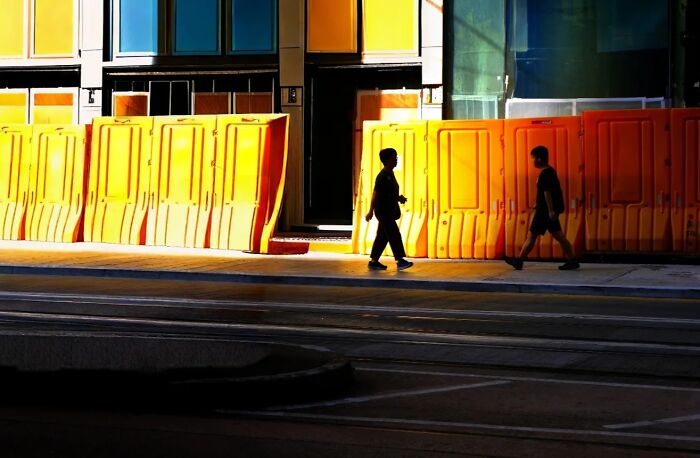 Morning Sunlight