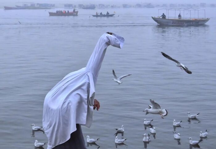 A person covered in white fabric stands in water surrounded by seagulls, capturing the strange reality of animals living on the streets.