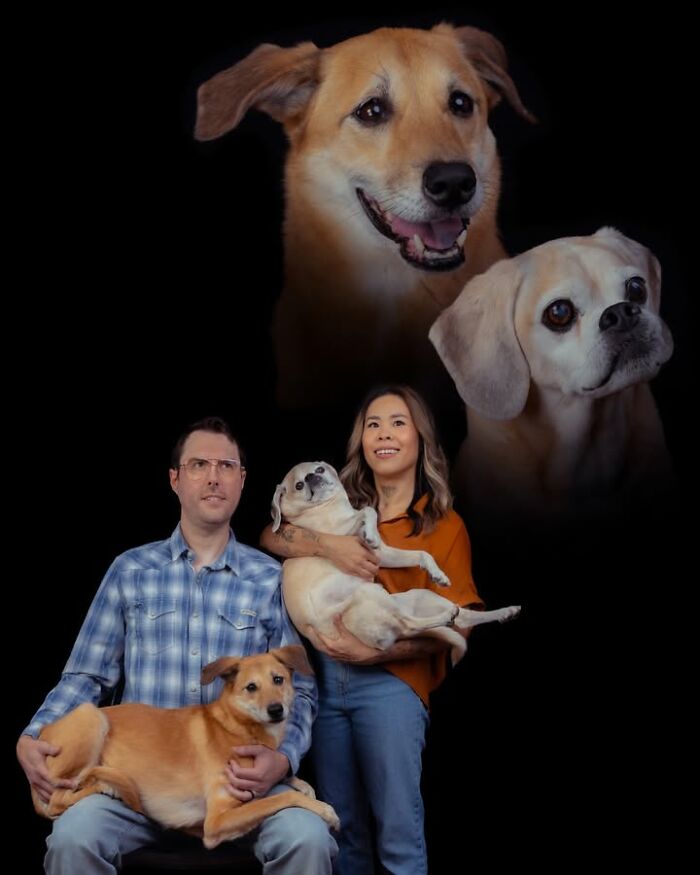 Quirky portrait of pets and their owners: two dogs floating above a couple holding dogs, on a black background.
