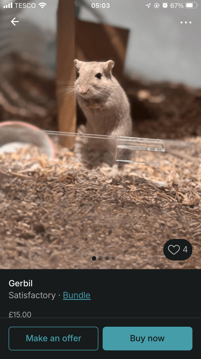 Please Don’t Sell Your Pets On Vinted