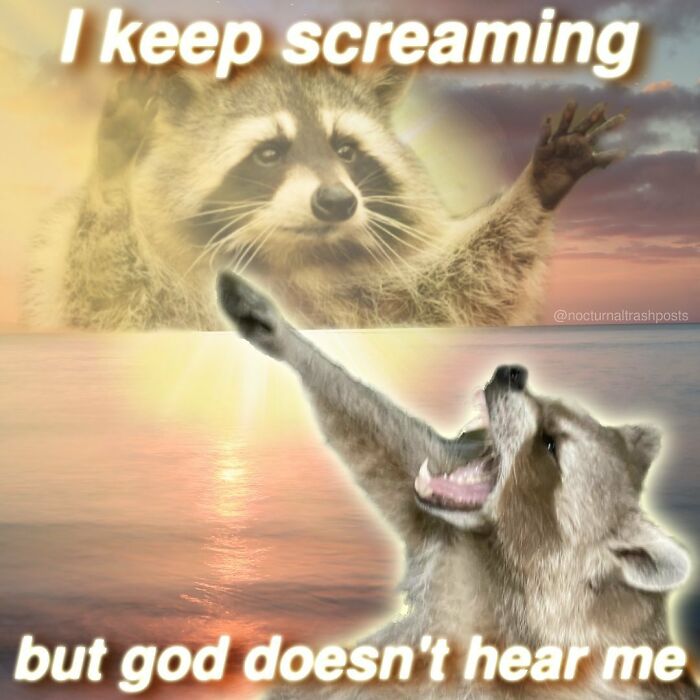 “Nocturnal Trash Posts”: 30 Of The Best Raccoon Memes This Dedicated Instagram Account Has To Offer