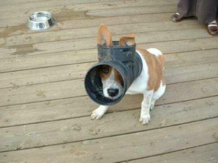 Amateur Plumber