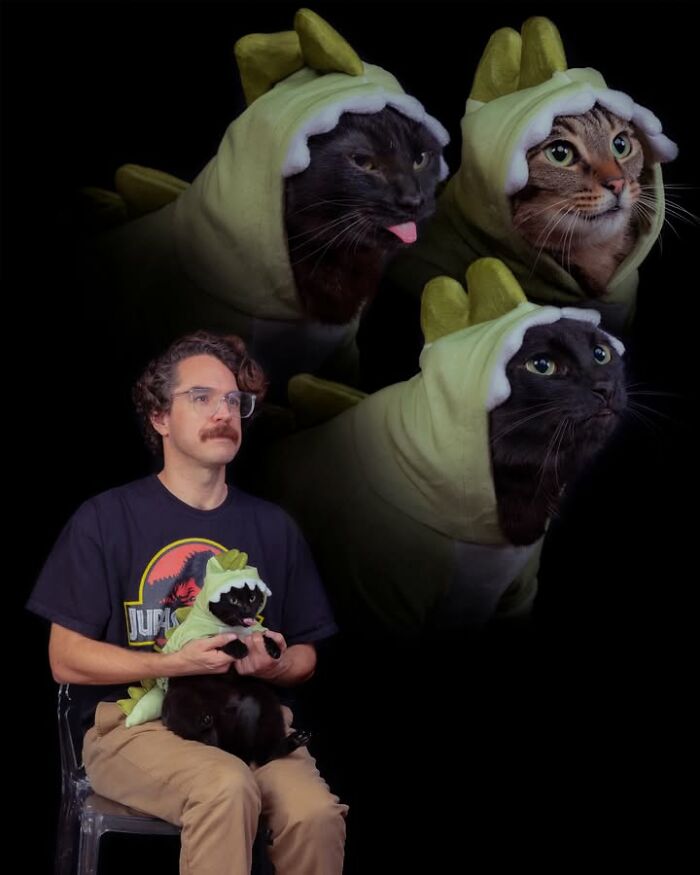 Silly portrait of pets and their owners: three cats in dinosaur costumes floating above a man holding a cat.