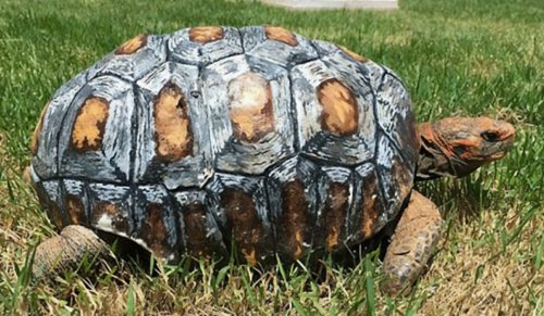 60 razy, gdy ludzie użyli drukarek 3D i stworzyli genialne rzeczy