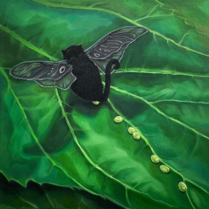 A black cat with delicate insect-like wings rests on a giant green leaf, creating a surreal moment.