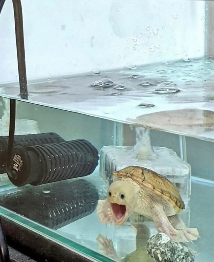 IG Account Posts Pics So Adorable, It’s Basically The Opposite Of Doom Scrolling (30 Pics)