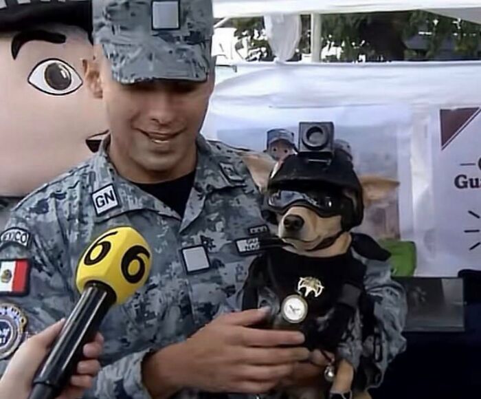 Soldier holding a dog in military gear during an animal event