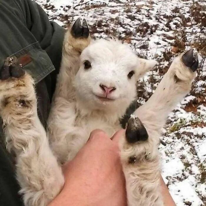 IG Account Posts Pics So Adorable, It’s Basically The Opposite Of Doom Scrolling (30 Pics)
